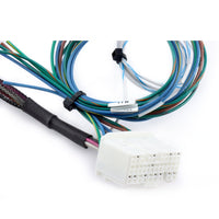 Hybrid Racing K-Series Swap Conversion Wiring Harness (99-00 Civic) (99-01 CRV)