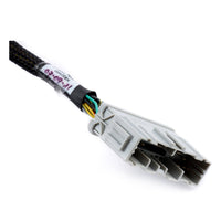 Hybrid Racing K-Series Swap Conversion Wiring Harness (99-00 Civic) (99-01 CRV)