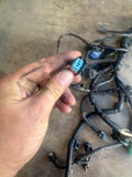 99-00 civic si em1 engine harness